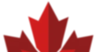 Maple-Leaf-Blurred-Red-Leaf-Digital-Solutions-Inc